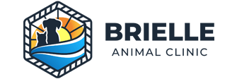 Link to Homepage of Brielle Animal Clinic